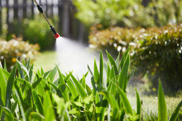 24/7 Emergency Termite Control experts in Williamson, AZ